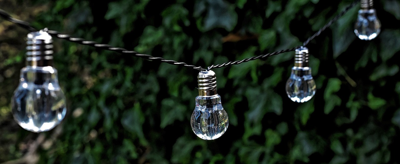 How to Support Green Initiatives in Your Community?